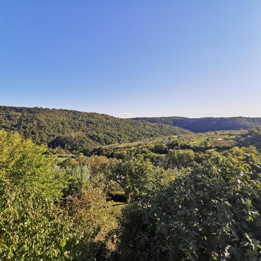 ŠmarjeApartma Žan公寓 外观 照片